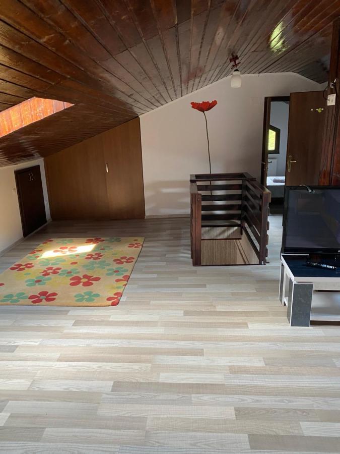 Busteni Cantacuzino Home Buşteni Exterior foto