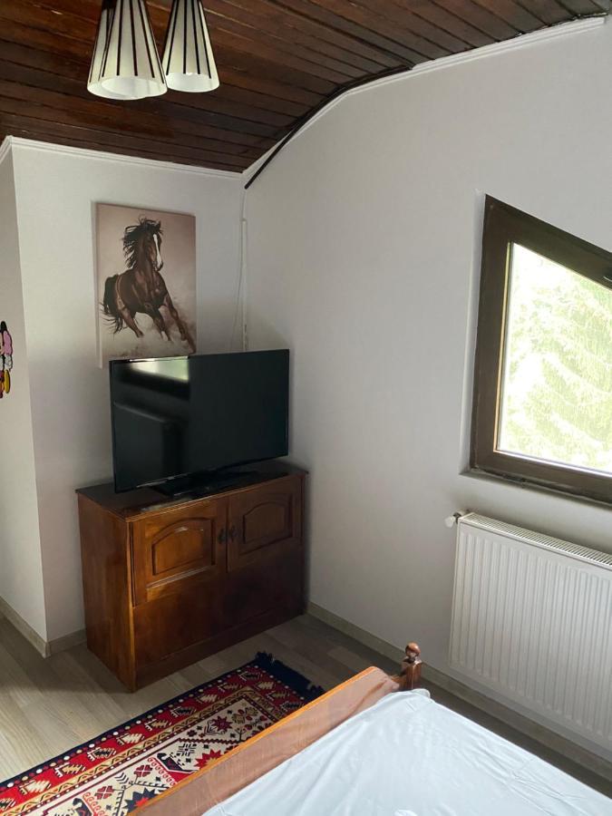 Busteni Cantacuzino Home Buşteni Exterior foto